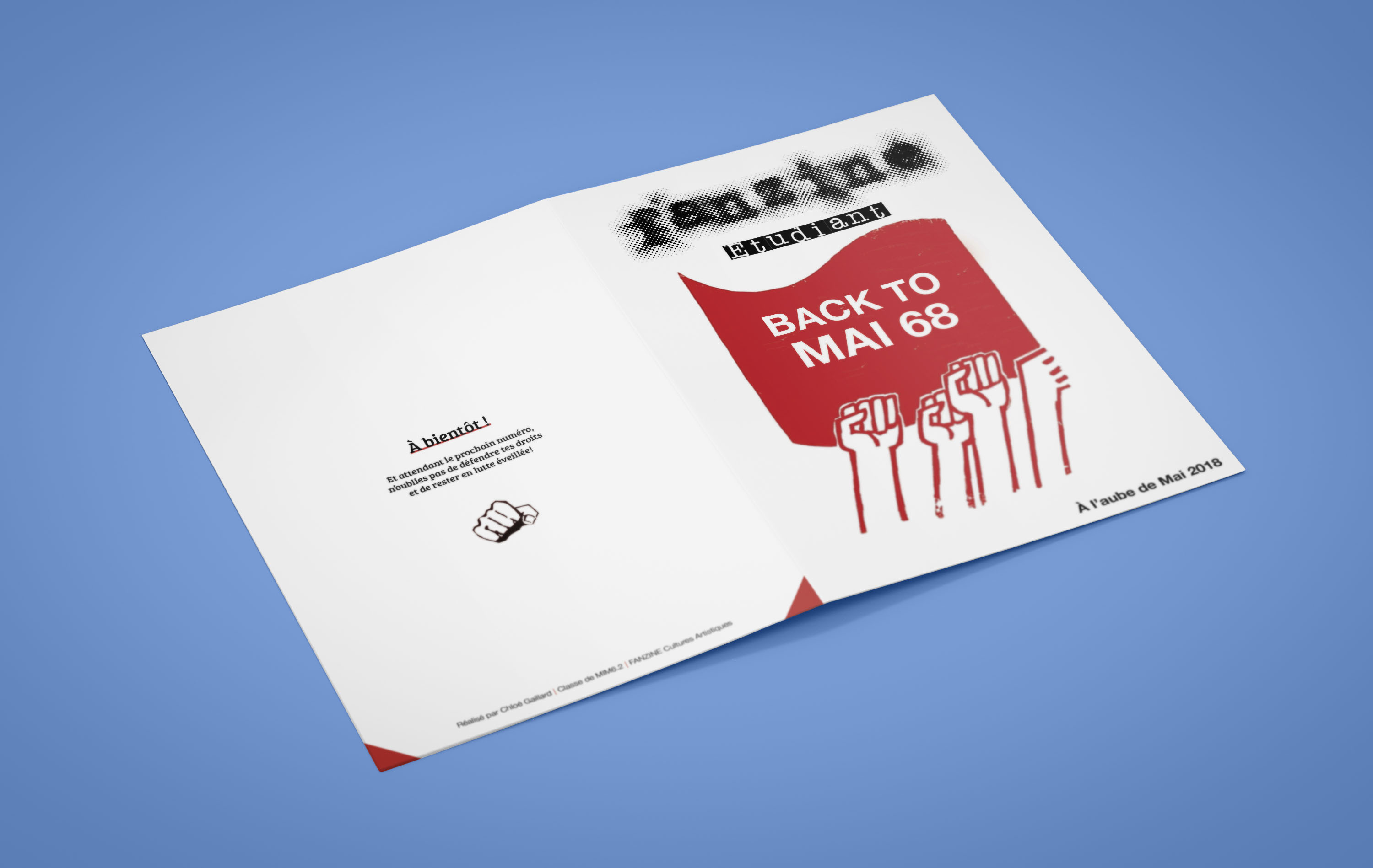 Fanzine